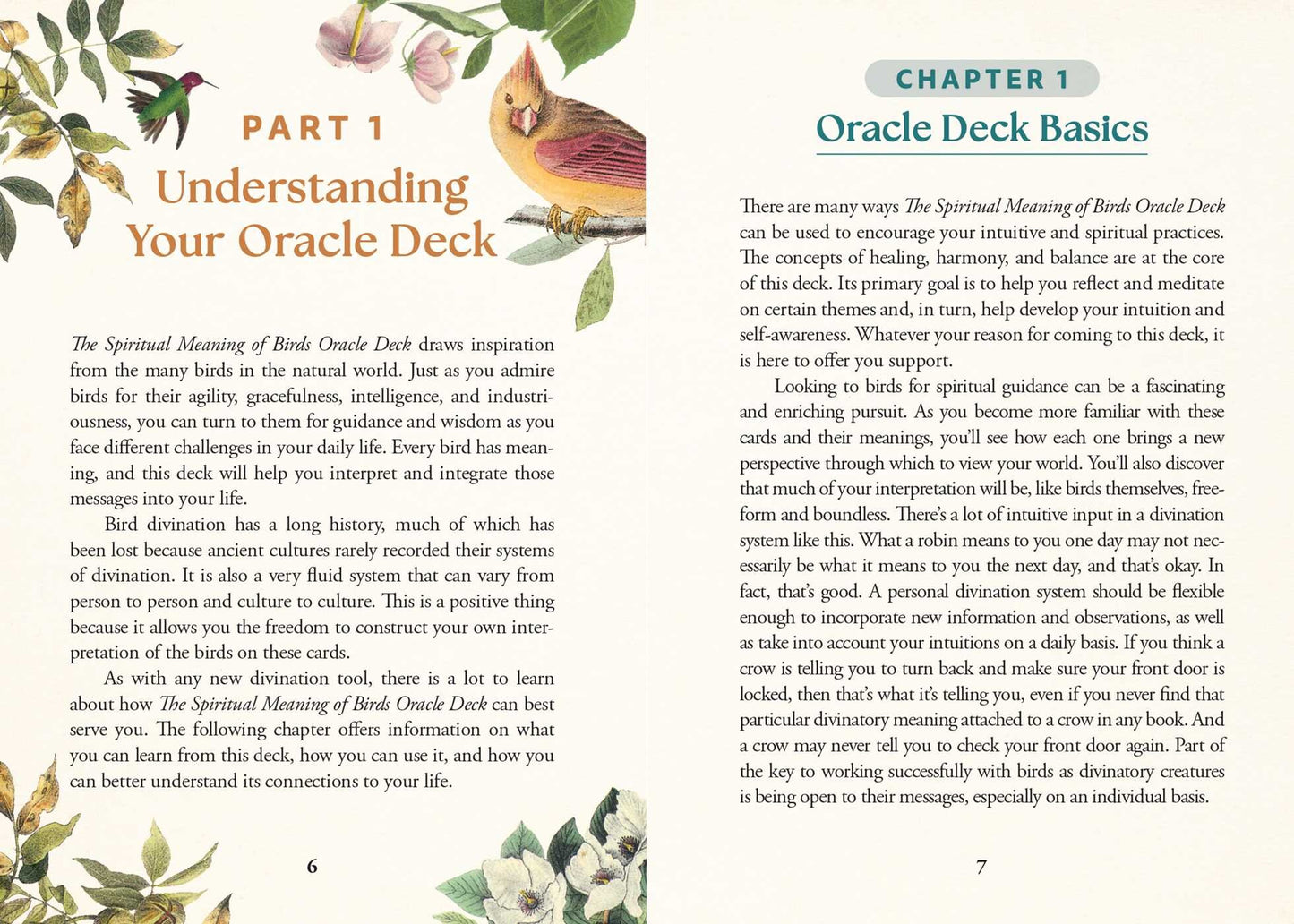 The Spiritual Meaning of Birds Oracle Deck
