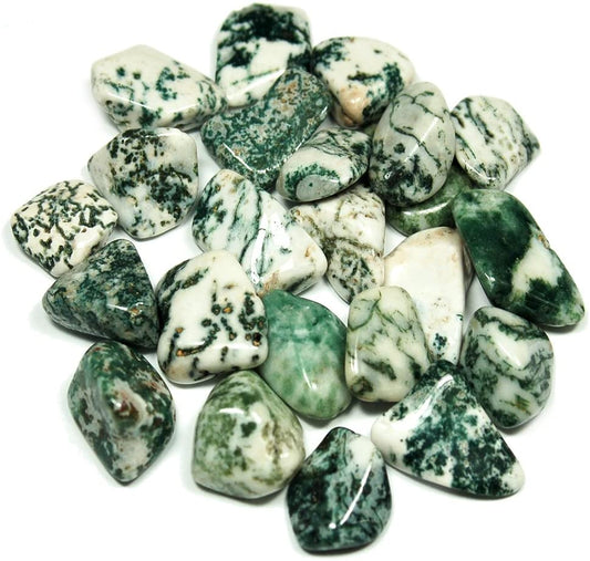 Tree Agate Tumbled Stones
